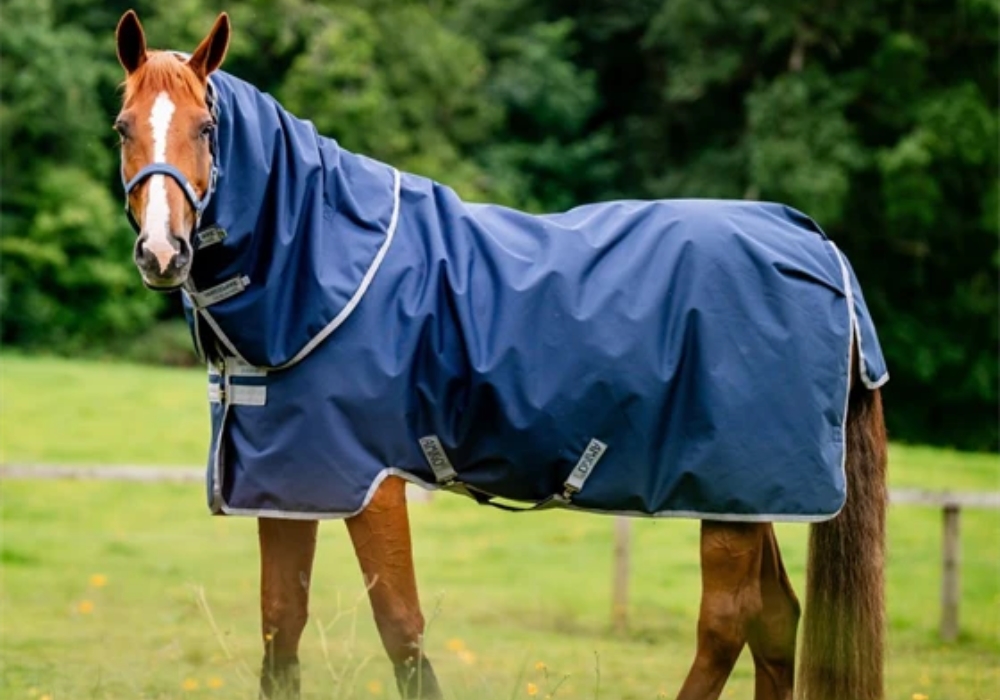 Horseware Derki dla konia 0 til 200 gram